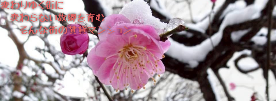 変わりゆく街に
　変わらない故郷を育む
　　そんな街の賃貸マンション